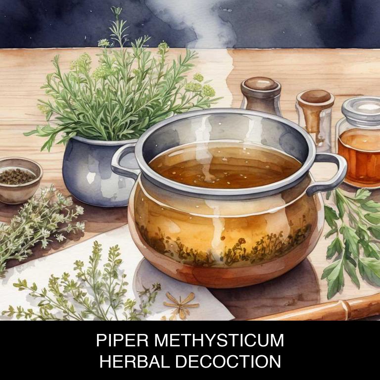 piper methysticum herbal decoctions for restless-leg-syndrome