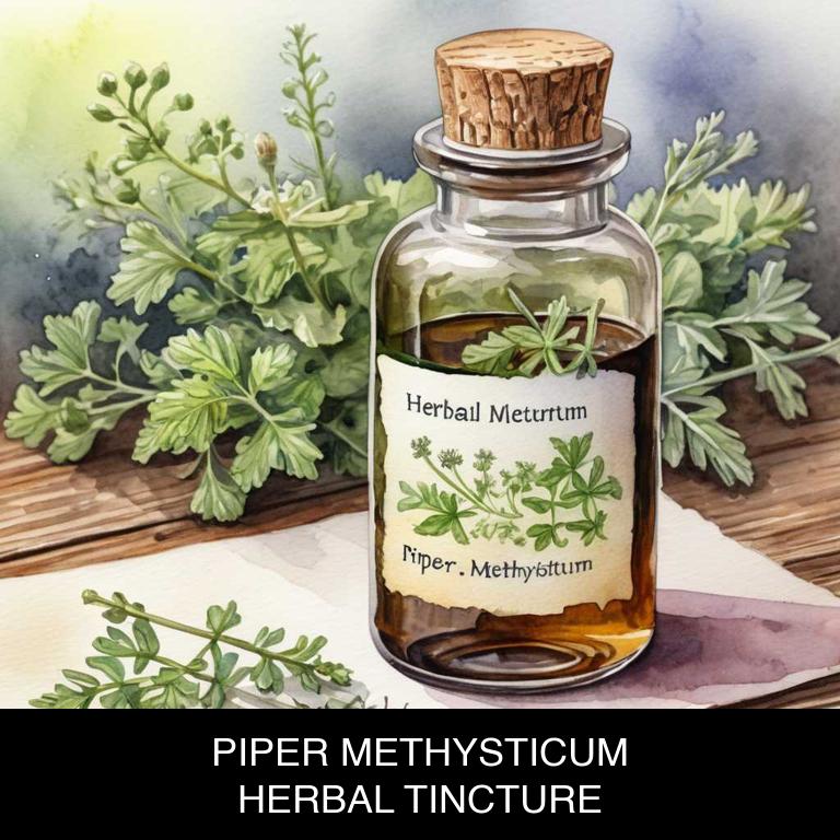 piper methysticum herbal tinctures for asthma