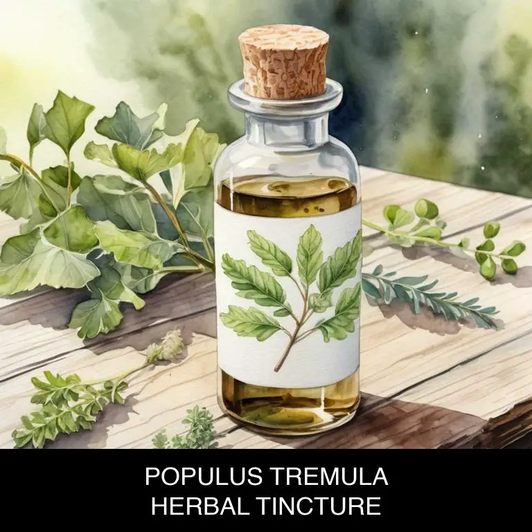 populus tremula herbal tinctures for peripheral-arterial-occlusive-disease