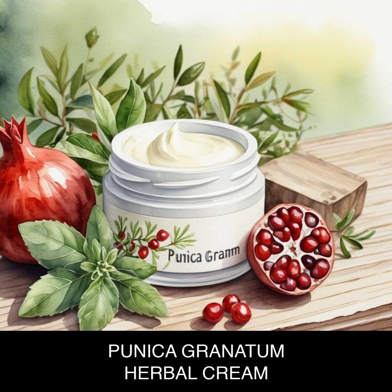 punica granatum herbal creams for erectile-disfunction