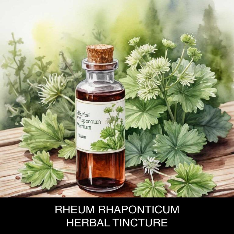 rheum rhaponticum herbal tinctures for endometriosis