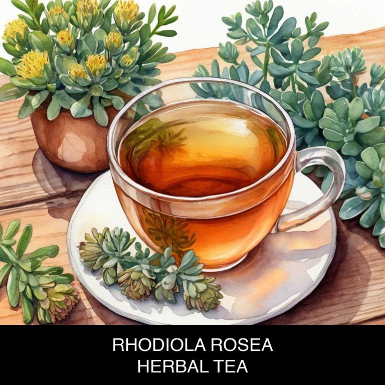 rhodiola rosea herbal teas for adrenal-fatigue