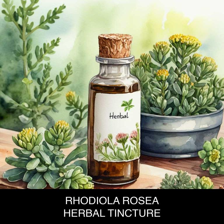 rhodiola rosea herbal tinctures for speech-difficulty