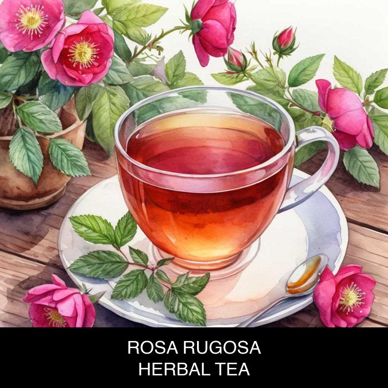 rosa rugosa herbal teas for acid-reflux