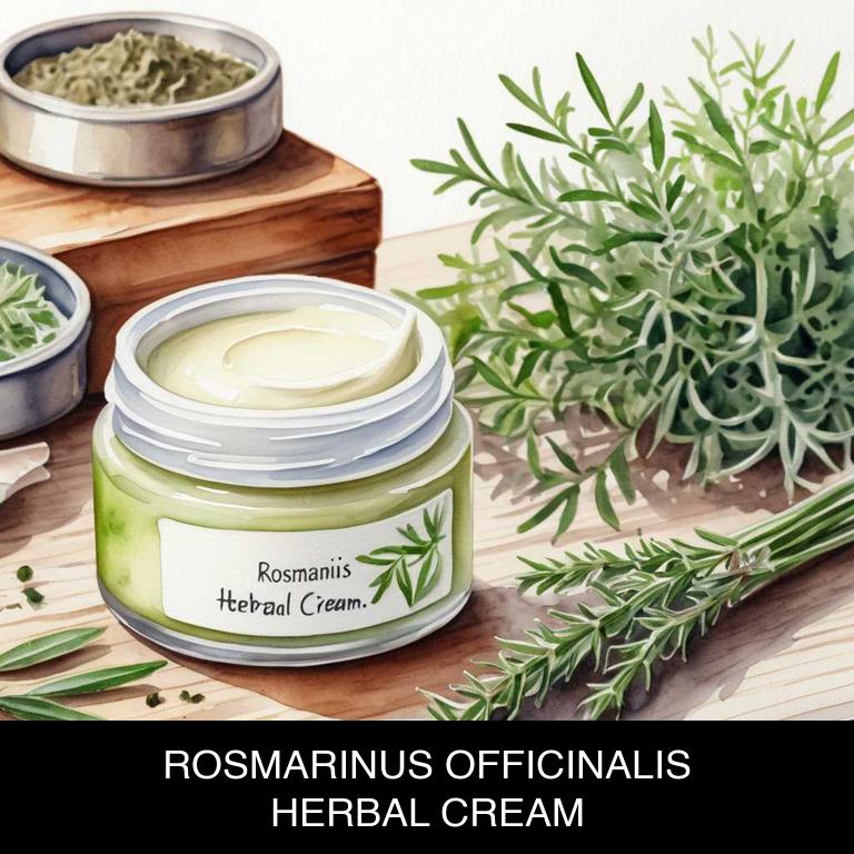 rosmarinus officinalis herbal creams for breath-shortness