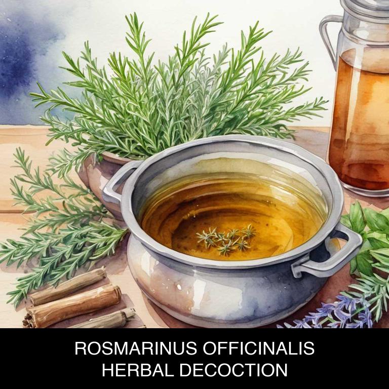 rosmarinus officinalis herbal decoctions for frizzy-hair