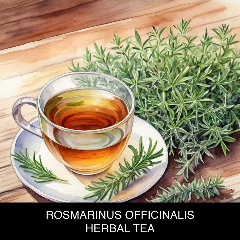 rosmarinus officinalis herbal teas for lip-fever-blister