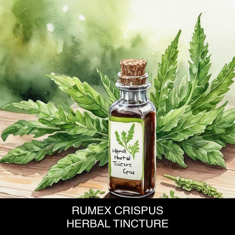 rumex crispus herbal tinctures for pertussis