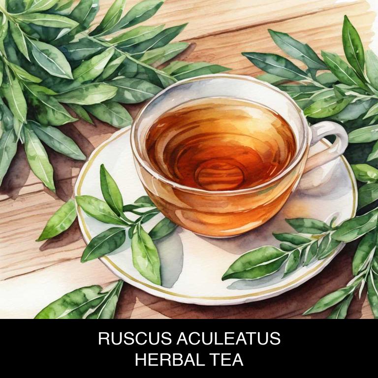 ruscus aculeatus herbal teas for high-blood-pressure