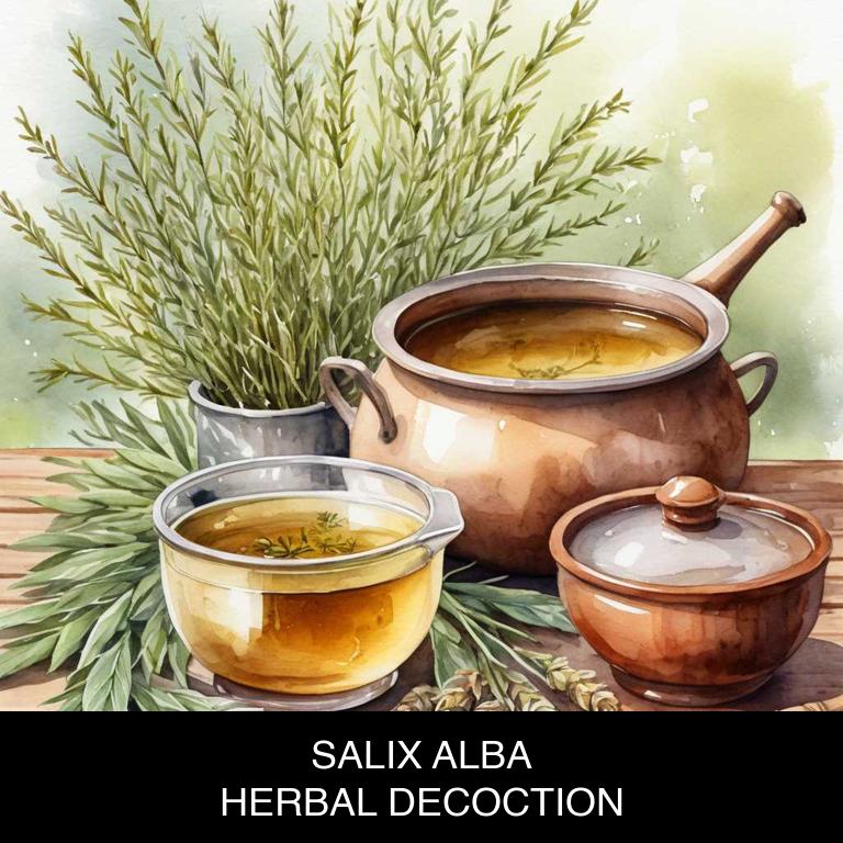 salix alba herbal decoctions for varicose-veins