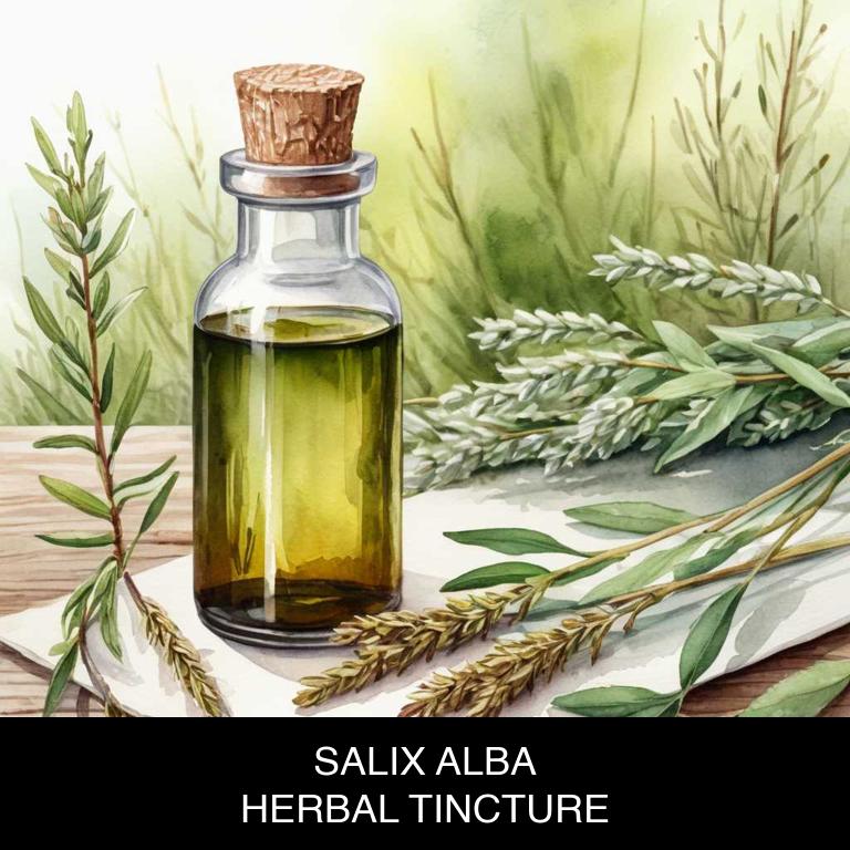 salix alba herbal tinctures for inflammation