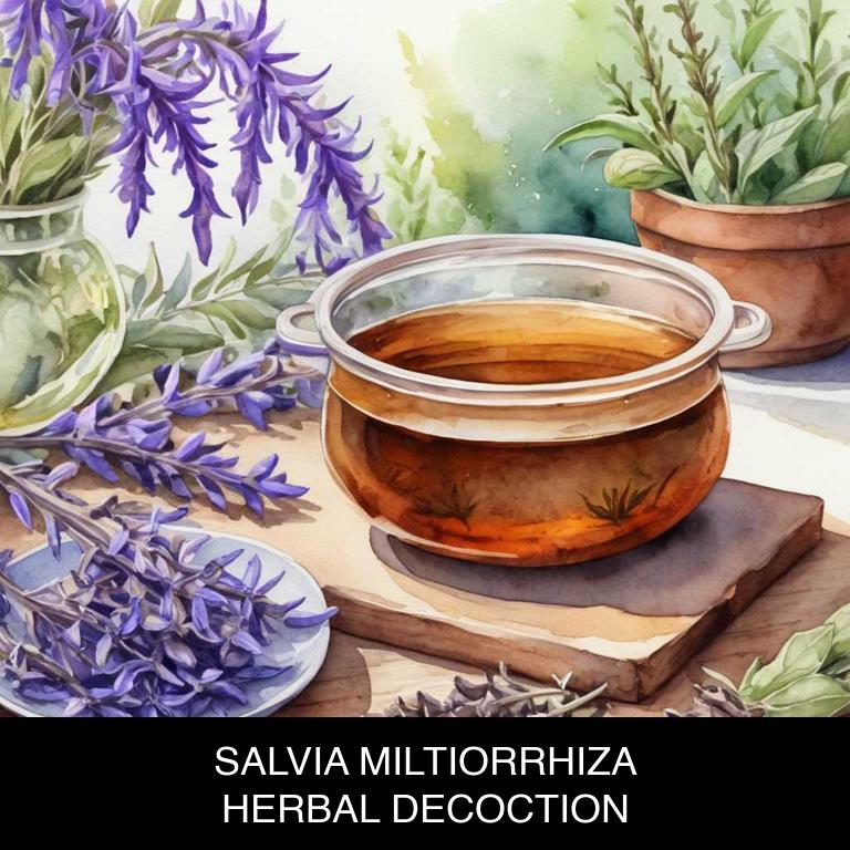 salvia miltiorrhiza herbal decoctions for periodontal-disease