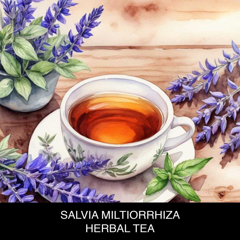 salvia miltiorrhiza herbal teas for gum-infection