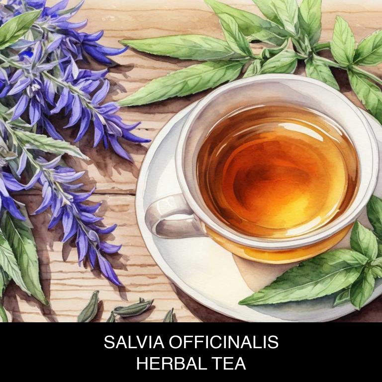 salvia officinalis herbal teas for ingrown-hair