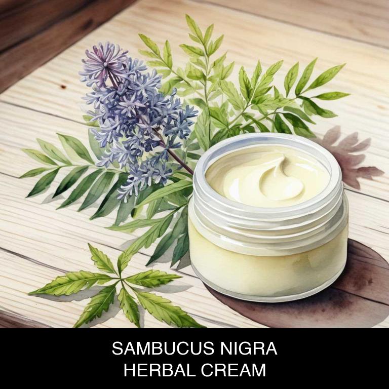 sambucus nigra herbal creams for colds