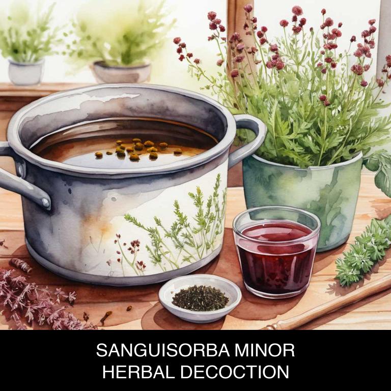 sanguisorba minor herbal decoctions for mouth-bitter-taste