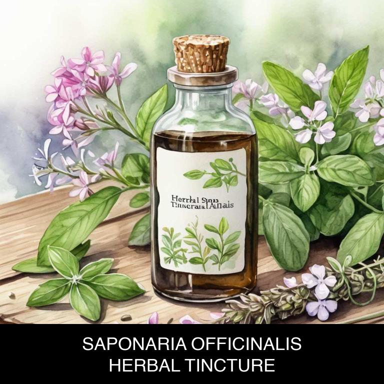 saponaria officinalis herbal tinctures for itchy-ears