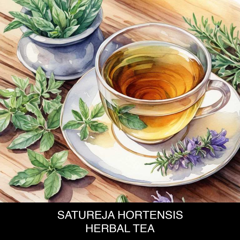 satureja hortensis herbal teas for bloating