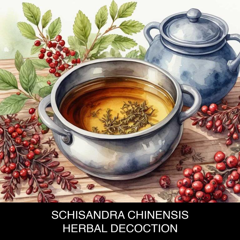 schisandra chinensis herbal decoctions for adrenal-fatigue