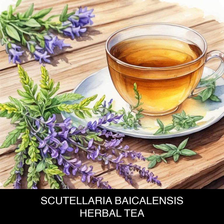 scutellaria baicalensis herbal teas for anxiety