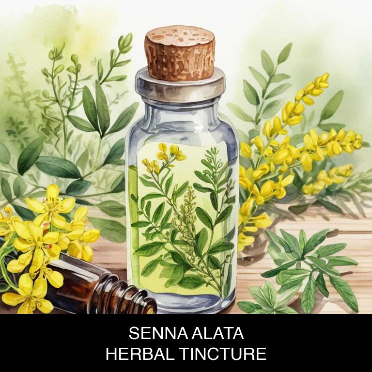 senna alata herbal tinctures for constipation