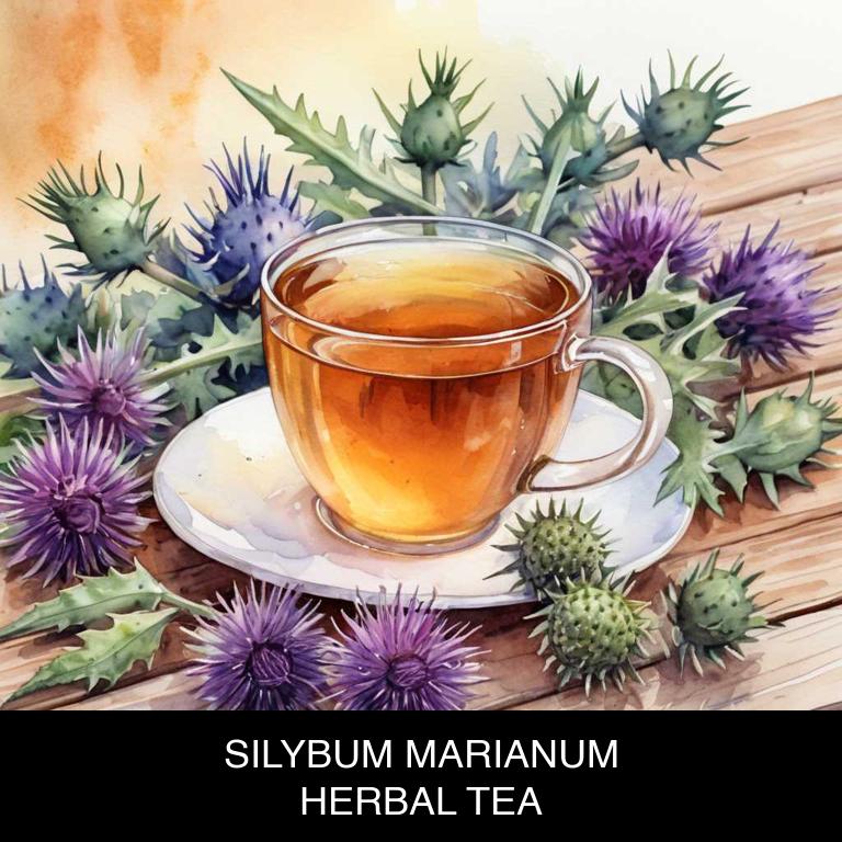 silybum marianum herbal teas for eczema