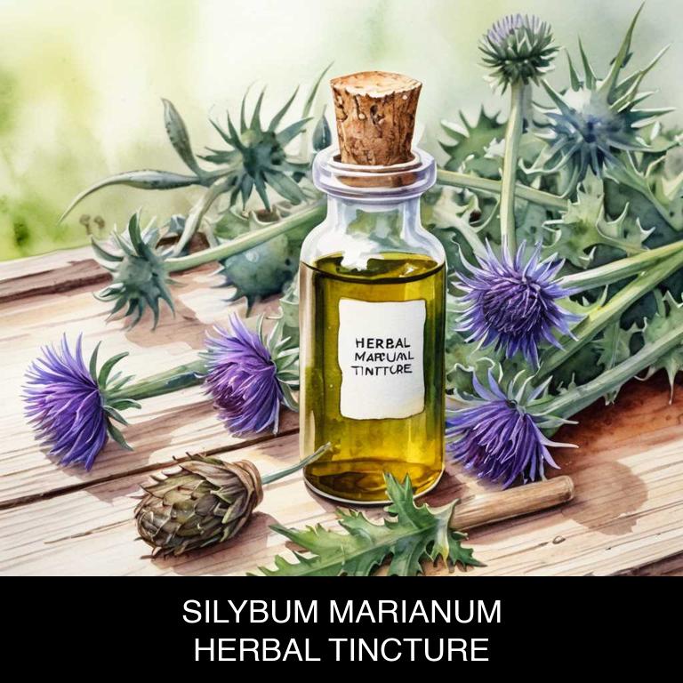 silybum marianum herbal tinctures for mucus-stomach