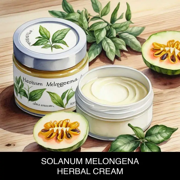 solanum melongena herbal creams for benign-prostatic-hypertrophy