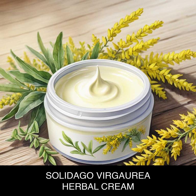 solidago virgaurea herbal creams for colds