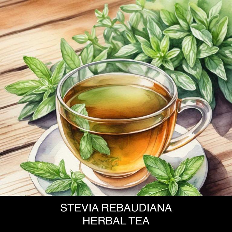 stevia rebaudiana herbal teas for strep-throat