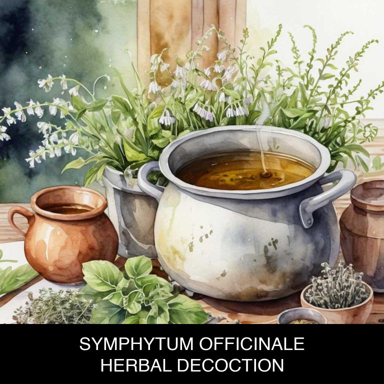 symphytum officinale herbal decoctions for mucus-stomach