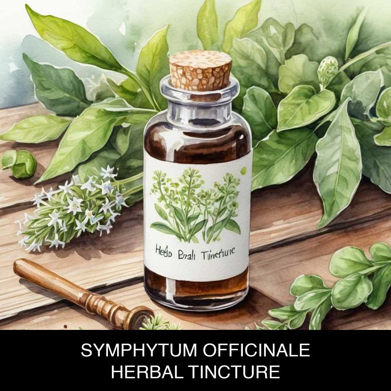 symphytum officinale herbal tinctures for mucus-stomach