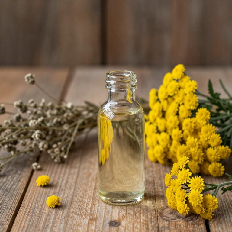 achillea millefolium syrup