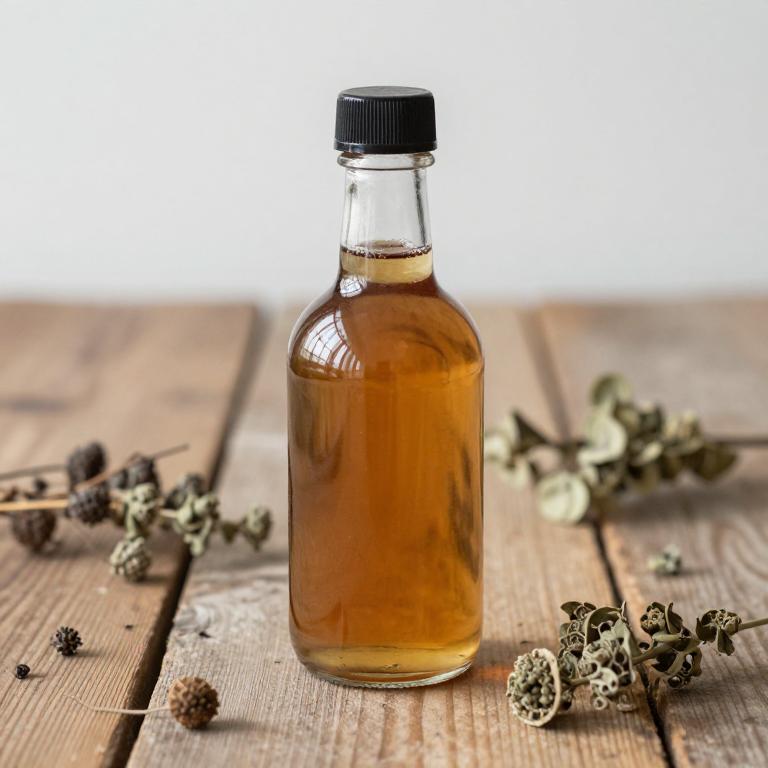 aesculus hippocastanum syrup