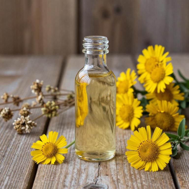 agrimonia eupatoria syrup