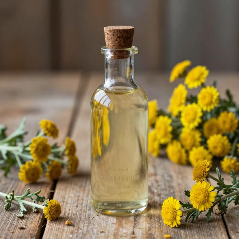 artemisia absinthium syrup