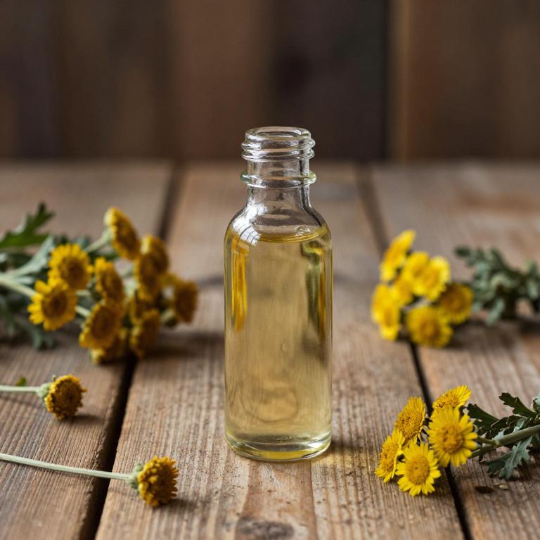 artemisia annua syrup