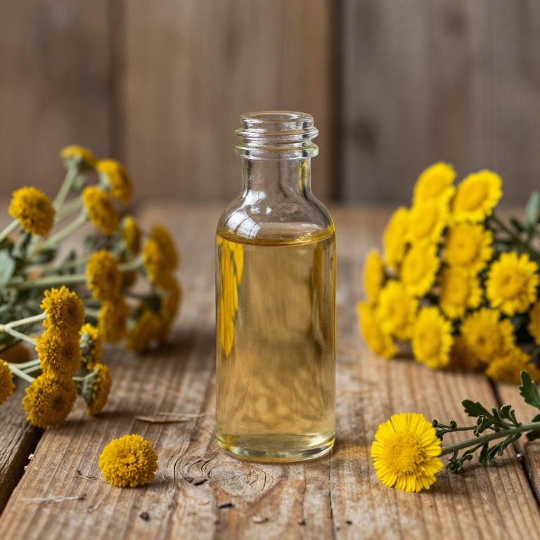 artemisia vulgaris syrup