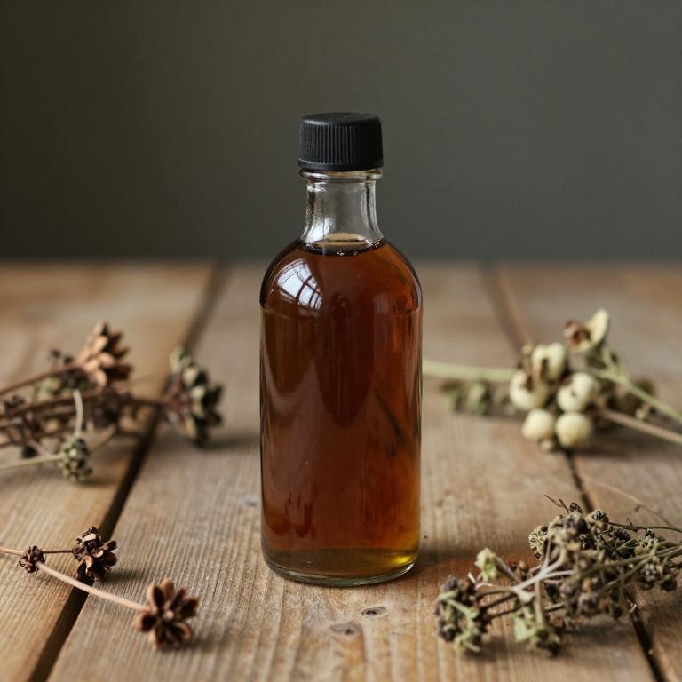 cimicifuga racemosa syrup