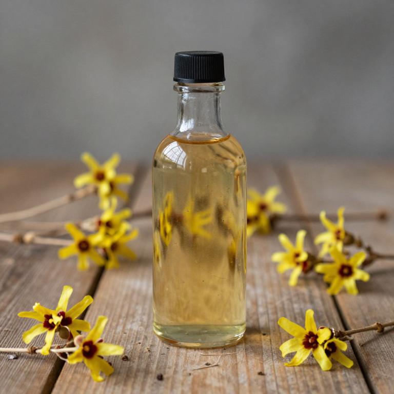 hamamelis virginiana syrup