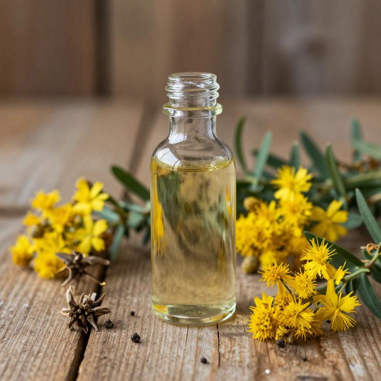 hypericum perforatum syrup