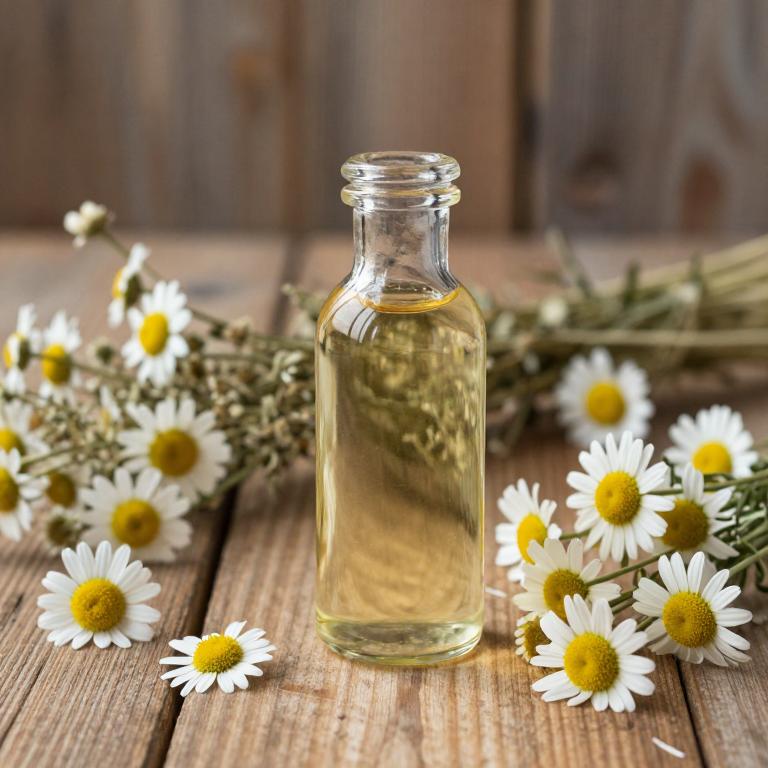 matricaria chamomilla syrup