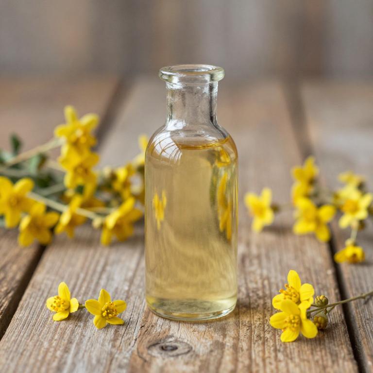 melissa officinalis syrup