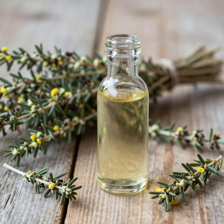 rosmarinus officinalis syrup