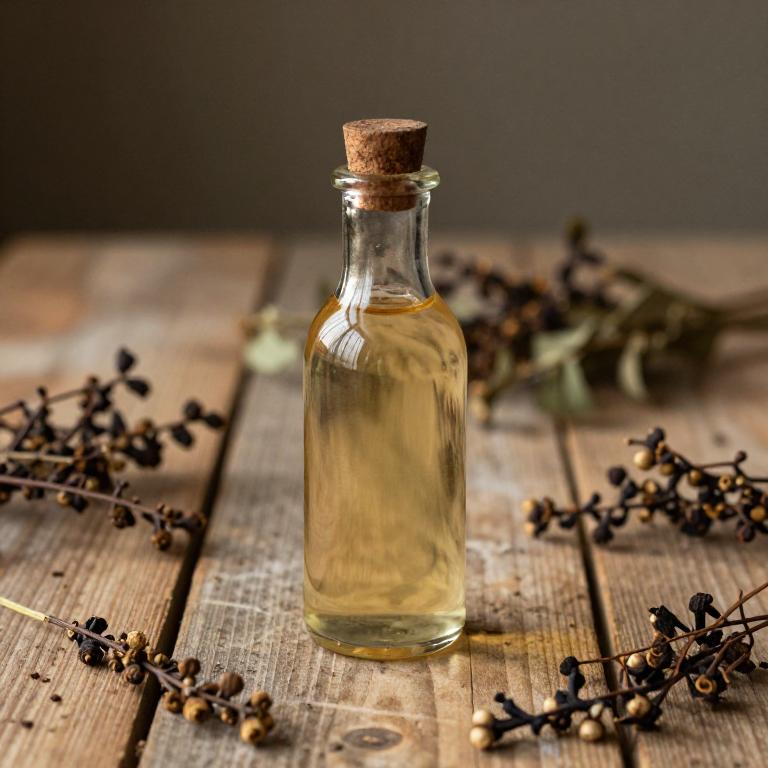 sanguinaria canadensis syrup