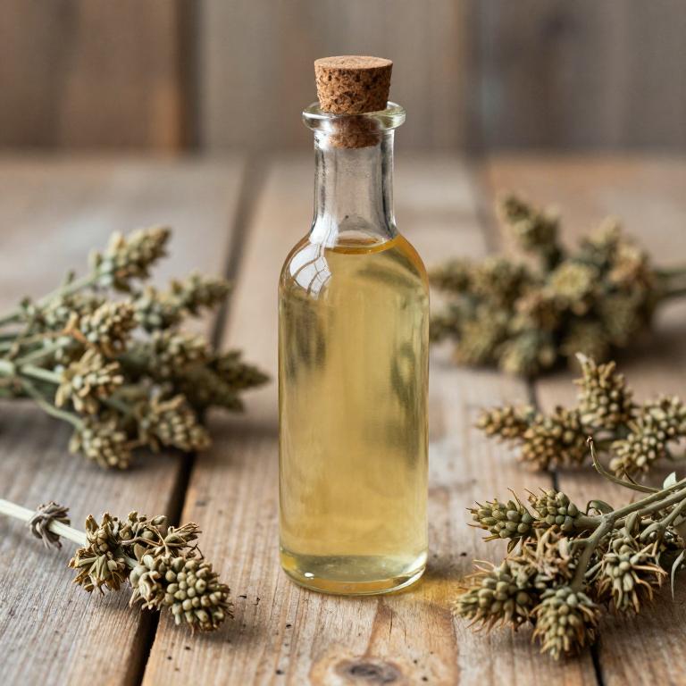 taraxacum officinale syrup