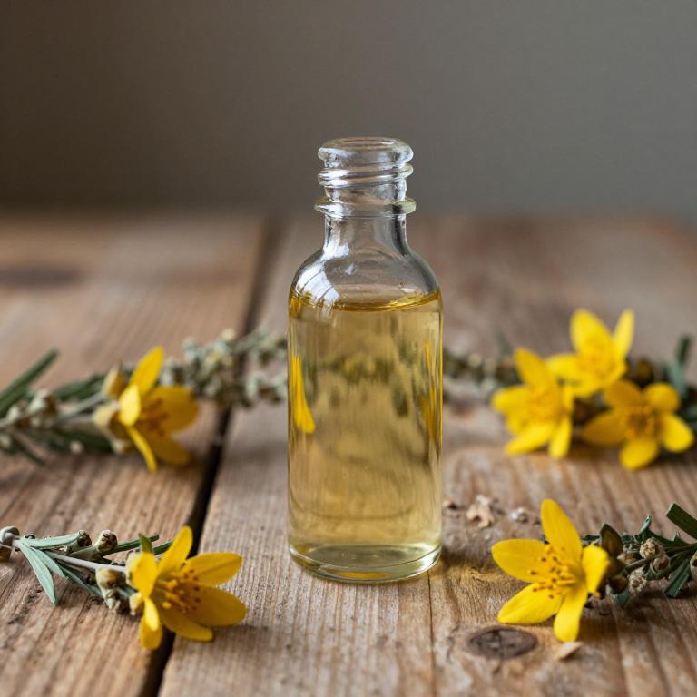 teucrium polium syrup