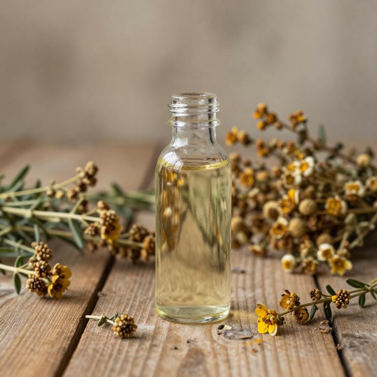 thymus vulgaris syrup