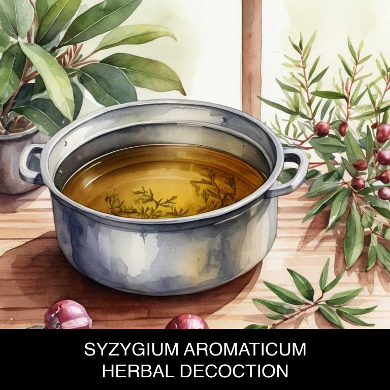 syzygium aromaticum herbal decoctions for gum-infection