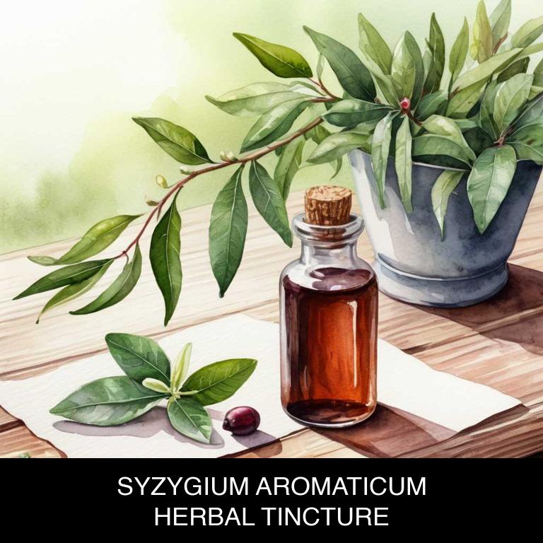 syzygium aromaticum herbal tinctures for gum-infection